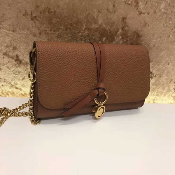 Replica Fashion Chloe Leather Multi-function Brown Small Crossbody Handbags
