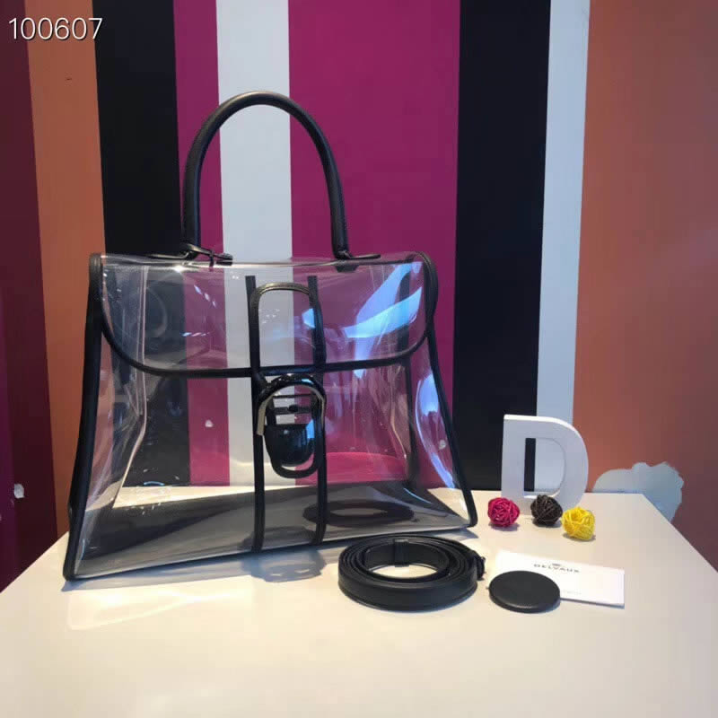 Fashion Delvaux X-ray PVC bag Black Tote Crossbody Bag Hot Sale