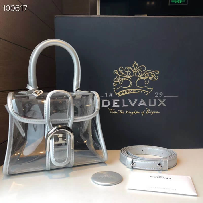 2019 Cheap Delvaux X-ray PVC bag Khaki Tote Crossbody Bag