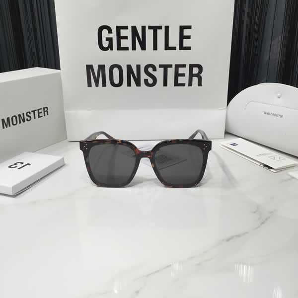Gentle Monster Sunglasses Hero Versize Cat Eye Polarized Driving Sunglasses 08